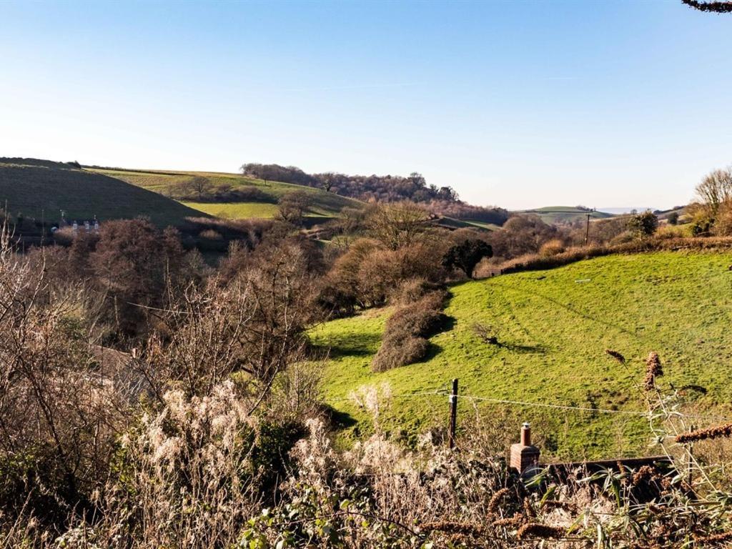 The Three Horseshoes Inn Bridport Exteriér fotografie